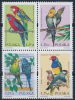 Egzotikus madarak négyestömb, Exotic birds block of 4