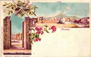 Pompei, Foro, Casa dei Capitelli Figurati, floral, litho