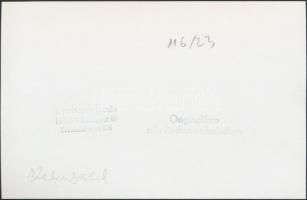 Linzbauer Tamás: Budapest, Kelenföld vasútállomás, pecséttel jelzett fotó, 11x17 cm