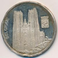 1969. "Európa / Belgium" jelzett Ag emlékérem (20g/0.999/40mm) T:2- (PP) ph.
1969. "...