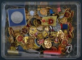 Doboznyi vegyes jelvény és érem tétel, főleg a szocialista időszakból T:vegyes Different badges, medallions mainly from the socialism, in a box C:mixed