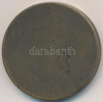 Románia ~1930-1940. "Iparostanonciskolai Ipari Kiállítás, Nagyvárad" Br emlékérem (30mm) T...