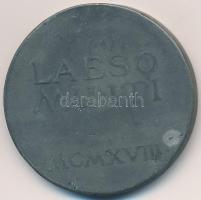 1918. "Sebesültek Érme" cink kitüntetés mellszalag és fül nélkül. Szign.: R. Placht T:2-,3...