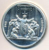 Vatikán DN "II. János Pál / Béke veletek!" fém emlékérem (35mm) T:2 (PP)
Vatican ND "...