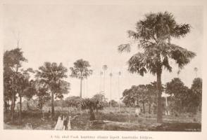 Gubányi Károly: Ausztrália. Bp., é. n., Lampel R. (A Magyar Földrajzi Társaság Könyvtára). Kicsit ko...