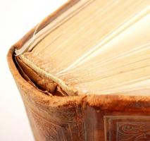 Zágoni Mikes Kelemen: Törökországi levelei. A magy. kir. kormány támogatásával, II. Rákóczi Ferencz ...