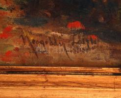 Neogrády jelzéssel: Kilátás az őszi tópartra, olaj, vászon, fa keretben, 38,5×50 cm