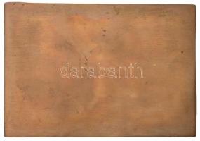 1925. "Magyar Testnevelési Főiskola" Br plakett sérült eredeti tokban (75x108mm) T:2