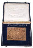 1925. "Magyar Testnevelési Főiskola" Br plakett sérült eredeti tokban (75x108mm) T:2