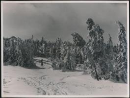 cca 1940 Matheisel József (1908-1961) rozsnyóbányai fotóművész 3 db jelzés nélküli vintage fotóművés...