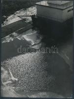 cca 1975 Zsigri Oszkár: Vízparton, feliratozott vintage fotóművészeti alkotás, 24x18 cm