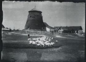 cca 1925 Kerny István (1879-1963) szélmalmok Szentes határában, korabeli üveglemezekről készült mode...