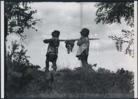 cca 1925 Kerny István (1879-1963) szüreti felvételei, korabeli üveglemezekről készült modern nagyítá...