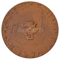 Csehszlovákia 1974. "Bedrich Smetana / A cseh zene éve" Br emlékérem. Szign.: Lidicky (45m...