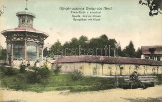 Görgénysóakna Gyógyfürdő; Tükör fürdő a kioszkkal / spa