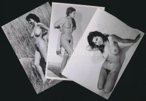 cca 1976 Hovatovább egyszersmind, 9 db finoman erotikus fénykép modern nagyításban, 13x9 cm /
cca 1...