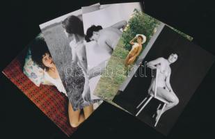 cca 1970-1980 Emlékek közt barangolva, 13 db finoman erotikus fénykép modern nagyításban, 13x9 cm /
...