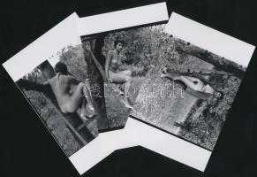 cca 1978 A gyümölcsös legédesebb termése, 6 db finoman erotikus fénykép modern nagyításban, 15x10 cm...