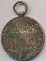 1898. "Jubileumi Emlékérem Fegyveres Erő Számára" Br kitüntetés mellszalag nélkül T:2- pat...