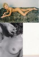 cca 1980 Finoman erotikus fotókompozíciók, 4 db fénykép, 18x19 cm és 17x12 cm közötti méretekben /
...
