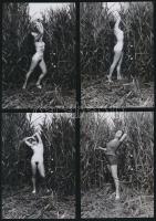cca 1975 A Velencei-tó hajlékony nádszála, 13 db finoman erotikus fénykép modern nagyításban, 13x9 cm / cca 1975 13 erotic photos, 13x9 cm