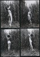 cca 1975 A Velencei-tó hajlékony nádszála, 13 db finoman erotikus fénykép modern nagyításban, 13x9 c...