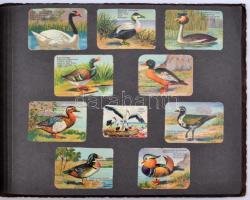 cca 1930 Litho gyűjtőképekből szépen összeállított mappa. Összesen kb 240 kép különböző témákban: au...