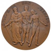 1949. "A Magyarországi Szabadkőművesség 200 Éves Fennállása Emlékére / Bölcseség - Erő - Szépsé...