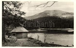 Szinna, Snina; tengerszem / lake (kis szakadás / small tear)