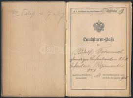 1905 Landsturm-pass, Népfölkelési igazolvány, pp::16, 14x10cm