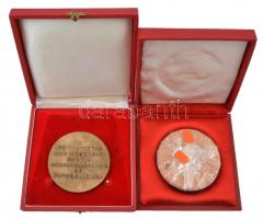 Szabó Gábor (1940-) 1978. "A Kommunisták Magyarországi Pártja megalakulásának 60. évfordulójára...