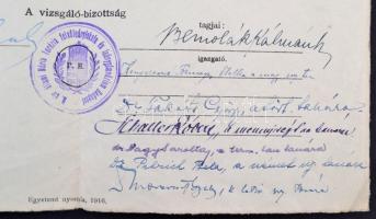 1921 Szörényi Erzsébet (1904-1987) geológus érettségi bizonyítványa