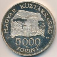 2004. 5000Ft Ag Visegrádi vár T:2 (PP) Adamo EM192