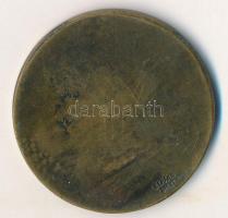 Berán Nándor (1889-1965) DN "Kegyesrendi Gimnázium" Br emlékérem (30mm) T:2