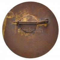 ~1970. "Politikai Irodalom terjesztő - 20 év" zománcozott jelvény (30mm) T:2