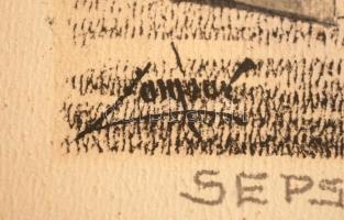 Olvashatatlan jelzéssel: Székely Múzeum. Tus, papír, üvegezett keretben, 11×18 cm