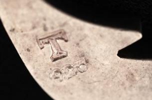 Ezüstfülbevaló kővel, jelzett, Ag., br.:3,9gr./ Silver earrings with stones, marked, br, Ag. 3,9gr