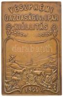 1904. "Veszprémi Gazdasági és Ipar Kiállítás / A Veszprém Vármegyei Gazdasági-Egyesület - Az érdem elismeréséül" kétoldalas Br plakett (70x45mm) T:2,2- Hungary 1904. "Economy and Industry Exhibition of Veszprém / Economic Society of Veszprém County" two-sided Br plaque (70x45mm) C:XF,VF