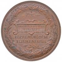 Schwartz István (1851-1924) 1885. "Országos Általános Kiállítás Budapesten 1885 / Brachfeld Géz...