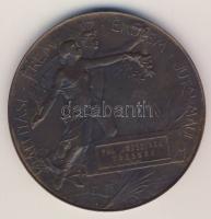 1896. Millenium emlékérem "Pál Józsefnek Vázsnok" nagyalakú Br emlékérem Szign:Beck Ö. Fülöp T:2 pici ph