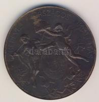 1896. Millenium emlékérem "Pál Józsefnek Vázsnok" nagyalakú Br emlékérem Szign:Beck Ö. Fül...