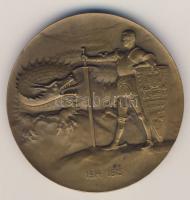 Ausztria 1915. General Conrad v. Hötzendorf nagyalakú Br emlékérem. Szign: Hartig T:2