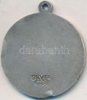 DN "Szent Kristóf" Ag medál füllel (6,16g/24mm) T:2,2- ph.
ND "Saint Christopher&quo...