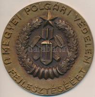 ~1970-1980. "A Megyei Polgári Védelem Fejlesztéséért" Br emlékplakett (85mm) T:2