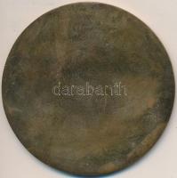 ~1970-1980. "A Megyei Polgári Védelem Fejlesztéséért" Br emlékplakett (85mm) T:2