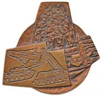 Rózsa Péter (1936-) "MN (Magyar Néphadsereg)" Br emlékplakett (105-110mm) T:2