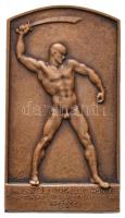 Kovács Panni 1936. "Magyar Királyi Toldi Miklós Honvéd Sporttanár és Vívómesterképző Intézet / II. évf. kard III. 1936." Br plakett (80x44mm) T:2