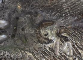 RCS jelzéssel: Fox terrier. Fém ötvözet, m:18 cm, h:20 cm