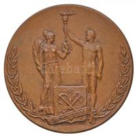 Oroszország 1994. "Jóakarat Játékok Szentpétervár 1994" Br emlékérem (60mm) T:1- Russia 1994. "Goodwill Games Saint Petersburg 1994" Br commemorative medallion (60mm) C:AU