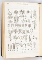 Jávorka Sándor dr.: Magyar flóra (Flora Hungarica). Magyarország virágos és edényes virágtalan növén...